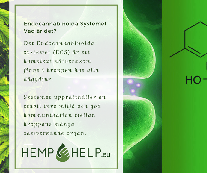 Vad är det  Endocannabinoida systemet?
